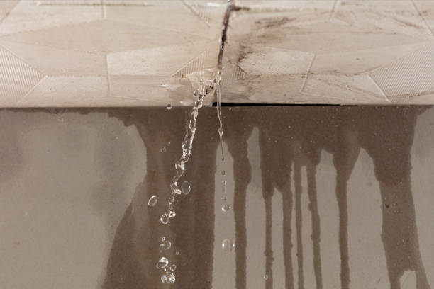 Professional Burst Pipe Cleanup technician working in Ellsworth, ME